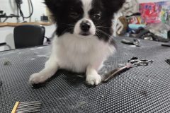 20260120_102340-scaled