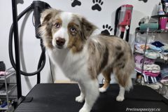 20260120_135403-scaled