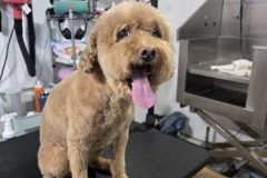 20260122_111846-scaled