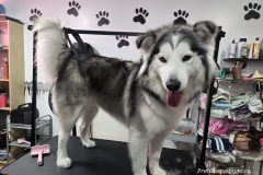 20260125_123849-scaled