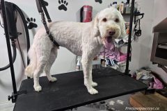 20260127_114956-1-scaled